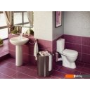 Унитазы Rosa Лира белый