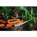 Кухонные ножи, ножницы, овощечистки, точилки Samura Okinawa SO-0146T