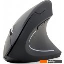 Мыши Gembird MUSW-ERGO-01