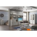 Полки, стеллажи, системы хранения Anrex Magellan 3N Сосна Винтаж