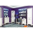 Полки, стеллажи, системы хранения Anrex MONAKO сосна винтаж/дуб анкона