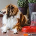 Миски, поилки, кормушки для животных Ferplast Azimut 3000 (красный)