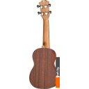 Гитары Ramis RS-01