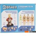 Игры-опыты, эксперименты Эврики Строение тела 2772940