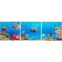 Экраны под ванну Comfort Alumin Морское дно 3D 1.5