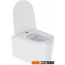 Унитазы IDDIS Stone STORDSEi25