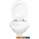 Унитазы Керамин Санти R (сиденье дюропласт с микролифтом Арктик Slim ЖС)