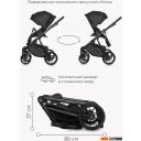 Детские коляски и аксессуары Riko Basic Montana Ecco (2 в 1, 12/черный)