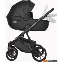 Детские коляски и аксессуары Riko Basic Montana Ecco (2 в 1, 12/черный)