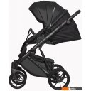 Детские коляски и аксессуары Riko Basic Montana Ecco (2 в 1, 12/черный)