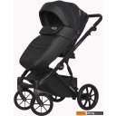 Детские коляски и аксессуары Riko Basic Montana Ecco (2 в 1, 12/черный)