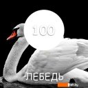 Краски и эмали Super Decor Maxima резиновая 11 кг (№100 Лебедь)