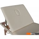 Массажеры и массажные кресла DFC Relax Pro TS3021-B2 (бежевый)