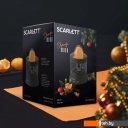 Соковыжималки Scarlett SC-JE50C09