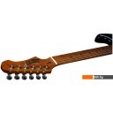 Гитары Jet JS-300 BK Гитары Jet JS-300 BK