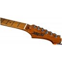 Гитары Jet JS-300 BK