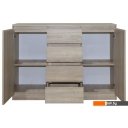 Комоды, тумбы Евва Турин ТР-2D4S/S (дуб сонома)