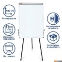 Офисные доски, флипчарты BRAUBERG 70х100 см 231720