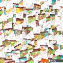 Настольные игры Банда умников Тур культур