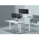 Кронштейны ErgoSmart Twin II