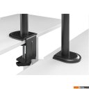 Кронштейны ErgoSmart Twin II