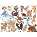 Настольные игры Djeco Занимач