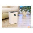Очистители и мойки воздуха AirInCom E300A