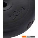 Гантели, гири, штанги BaseFit BB-203 10 кг d=26 мм