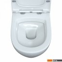 Унитазы Berges Wasserhaus 042445 (с сиденьем)