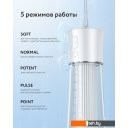 Электрические зубные щетки и ирригаторы Fairywill F30 (белый)