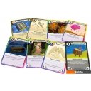 Настольные игры Мир Хобби Время приключений: Карточные войны. Бимо против леди Ливнерог