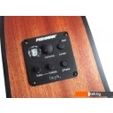 Гитары Randon RGI-01-CE Гитары Randon RGI-01-CE