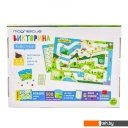 Настольные игры Magneticus Викторина Животные BG-010