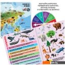 Настольные игры Bondibon Увлекательный мир животных и природы ВВ5551