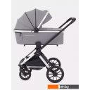 Детские коляски и аксессуары Rant Tilda MB064 (2 в 1, grey)