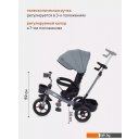 Детские велосипеды Rant Basic Ghost RB250 (серый)