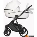 Детские коляски и аксессуары Riko Basic Montana Ecco (3 в 1, 11/белый)
