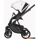 Детские коляски и аксессуары Riko Basic Montana Ecco (3 в 1, 11/белый)