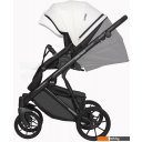 Детские коляски и аксессуары Riko Basic Montana Ecco (3 в 1, 11/белый)