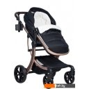 Детские коляски и аксессуары Aimile Original New Gold (2 в 1, черное золото)