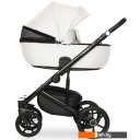 Детские коляски и аксессуары Riko Ozon (2 в 1, 07) Детские коляски и аксессуары Riko Ozon (2 в 1, 07)