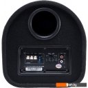 Автоакустика Aura SW-T20A