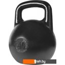 Гантели, гири, штанги Titan уральская 40 кг