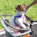 Сумки, переноски для животных Ferplast Atlas Bike 20 Rapid