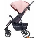 Детские коляски и аксессуары Rant Vega Star (cloud pink)