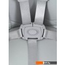 Стульчики для кормления Rant Basic Cookie RH700 (grey)