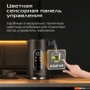 Электрочайники и термопоты RED Solution Colorsense AM105D