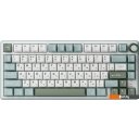 Клавиатуры Royal Kludge R75 RGB Sky Cyan (RK Silver)