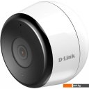 IP-камеры D-Link DCS-8600LH