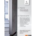 Холодильники LEX LCD485STGIDBI